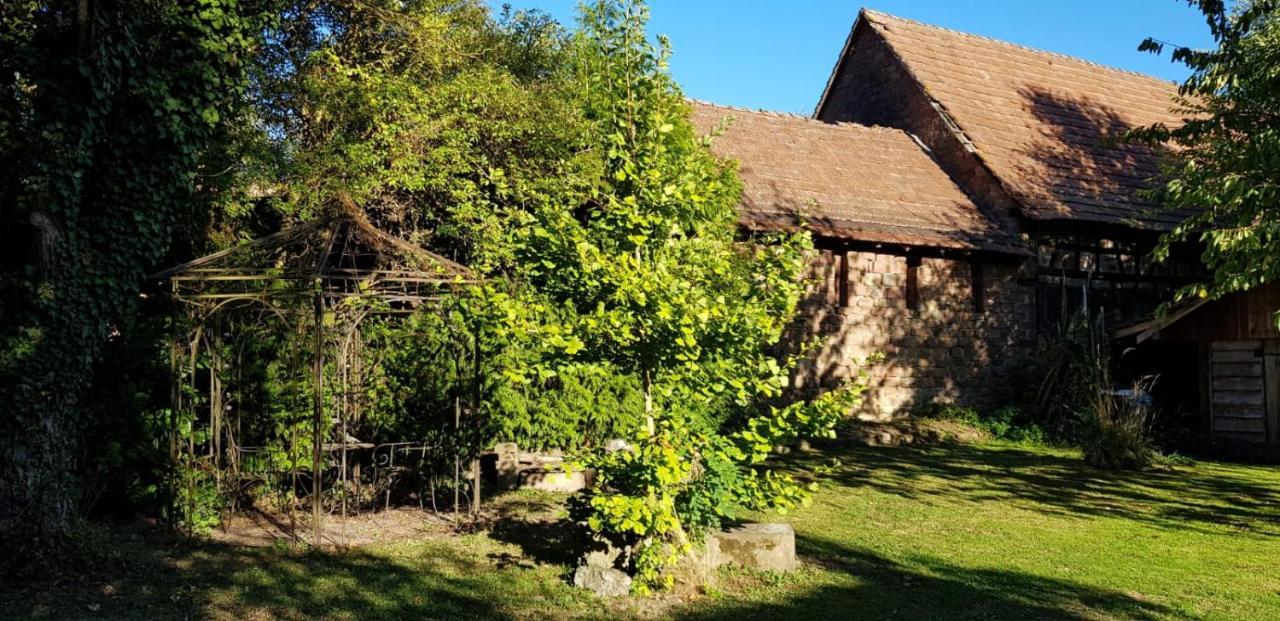 Gite A La Petite Fontaine-Plain Pied-Maison Alsacienne Renovee Avec Passion-4 Pers-4Nuitees Minimum Langensoultzbach Exterior photo